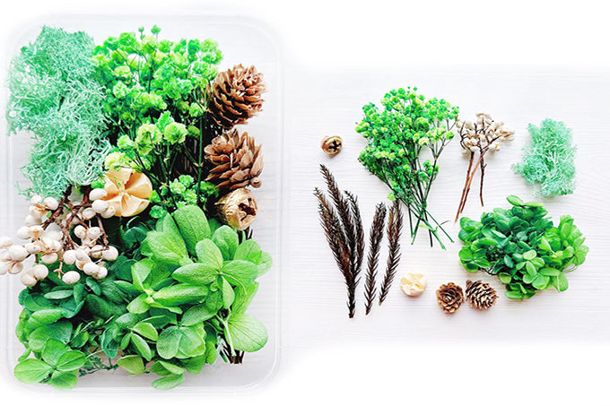 DIY Natur Tørrede Blomster Grøn