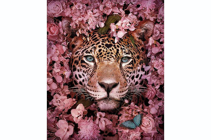5D Diamant Maleri Fulddækkende 40cmx50cm Leopard Blomster Lyserød