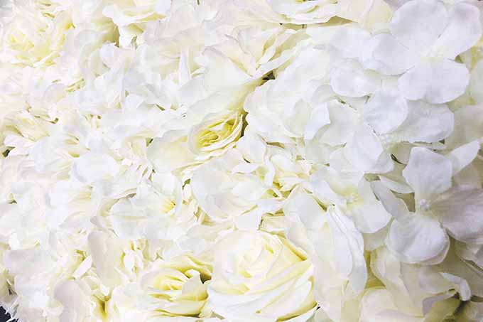 Kunstige Blomstervæg Cremehvid M/Rose