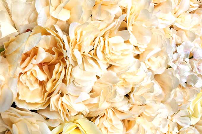 Kunstige Blomstervæg Champagne M/Rose
