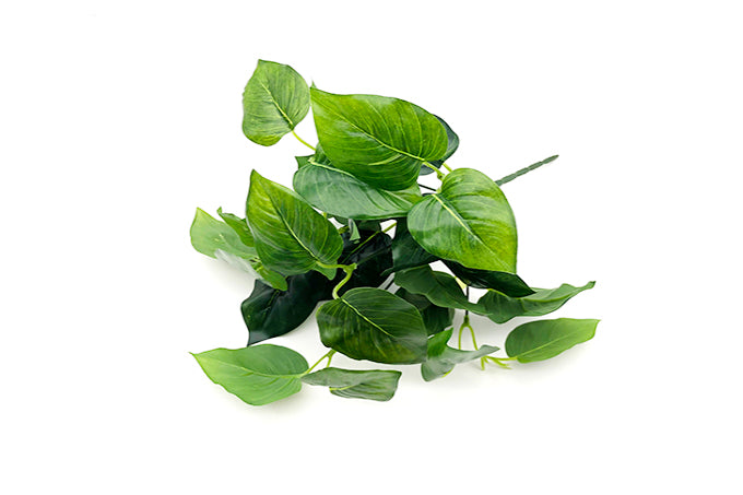 Kunstige Plante Grøn