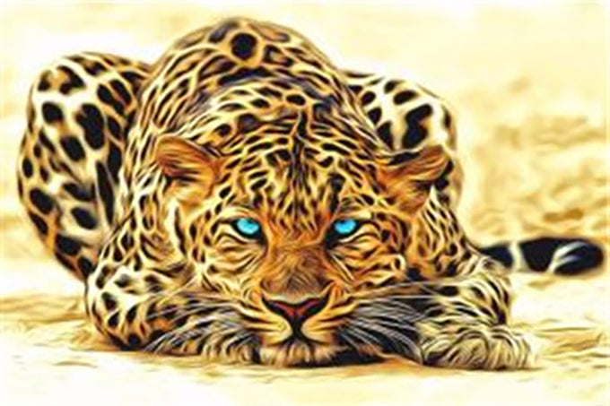 5D Diamant Maleri Fulddækkende 30cmx30cm Leopard