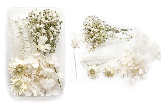 DIY Natur Tørrede Blomster Hvid