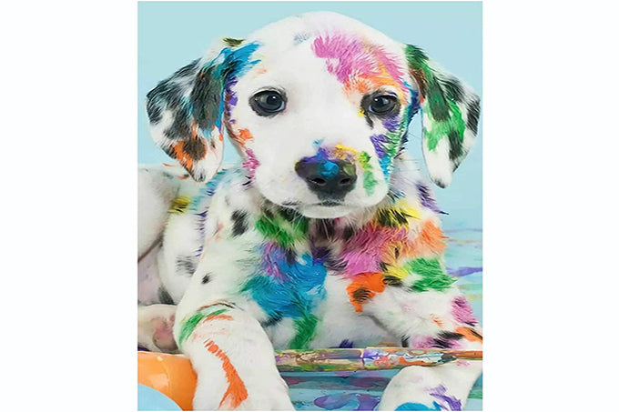 5D Diamant Maleri Fulddækkende 40cmx50cm Multi Farvet Dalmatiner Hund