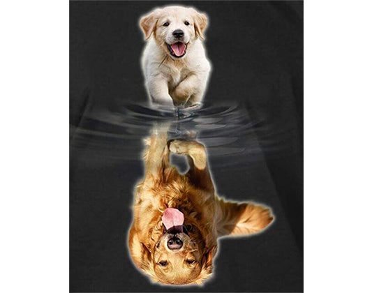 5D Diamant Maleri Fulddækkende 50cmx40cm Golden retriever spejlbillede