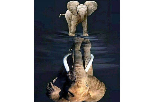 5D Diamant Maleri Fulddækkende 50cmx40cm Elefant spejlbillede