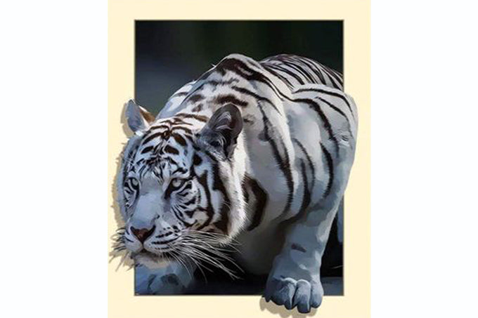 5D Diamant Maleri Fulddækkende 40cmx50cm 3D Hvid Tiger
