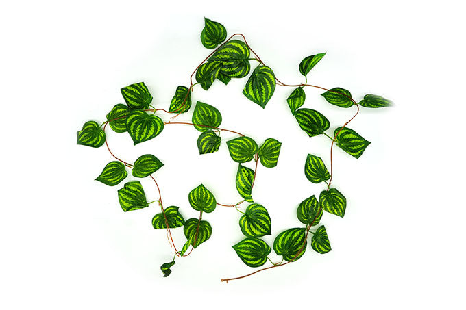 Kunstig Blad Rank Philodendron Grøn