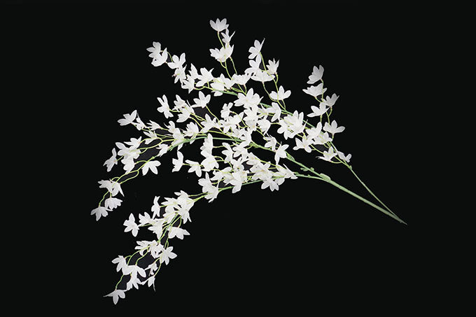 Kunstige Blomster Oncidium Hybridum Hvid