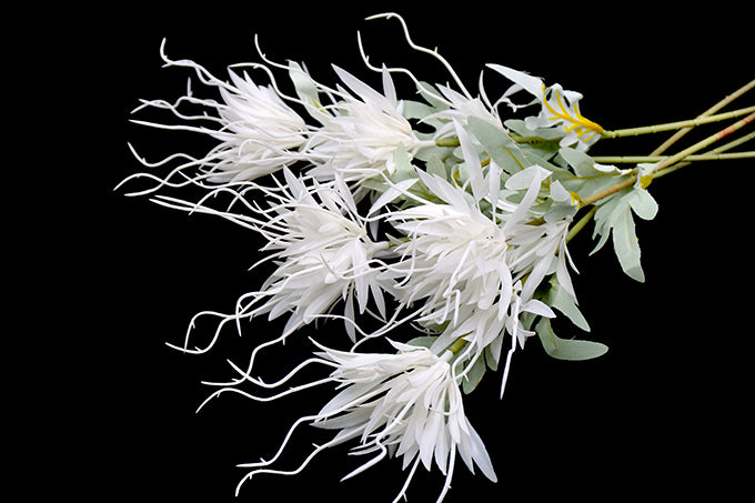 Kunstig Blomster Epifyllum Hvid