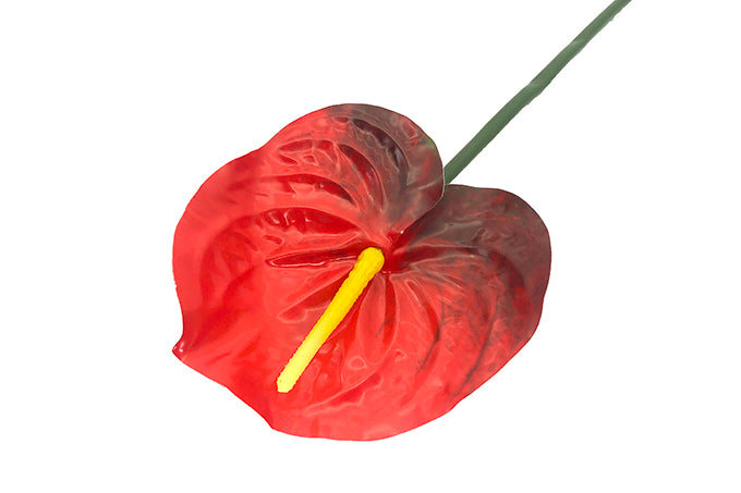 Kunstige Anthurium Rød