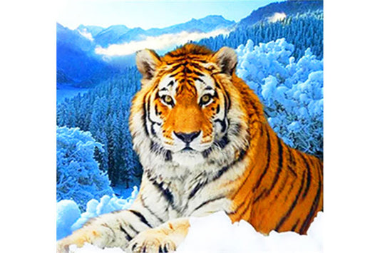 5D Diamant Maleri Fulddækkende 30cmx30cm Tiger