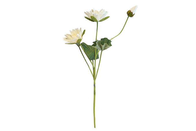 Kunstige Blomster Lotus  Hvid