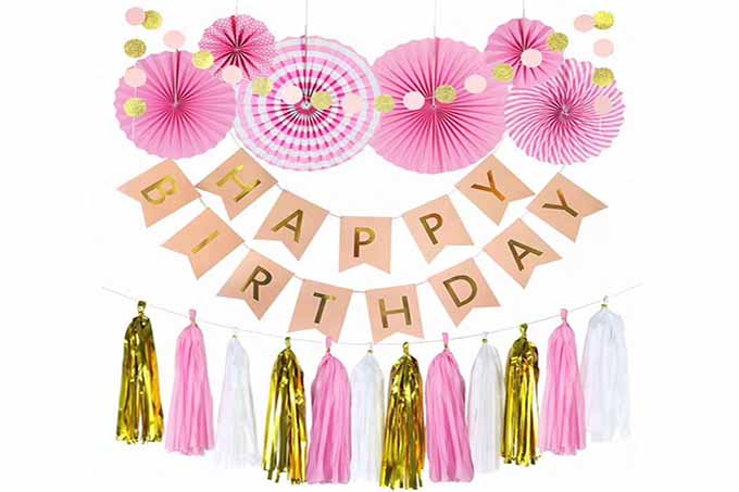 Happy Birthday Banner Lysrød