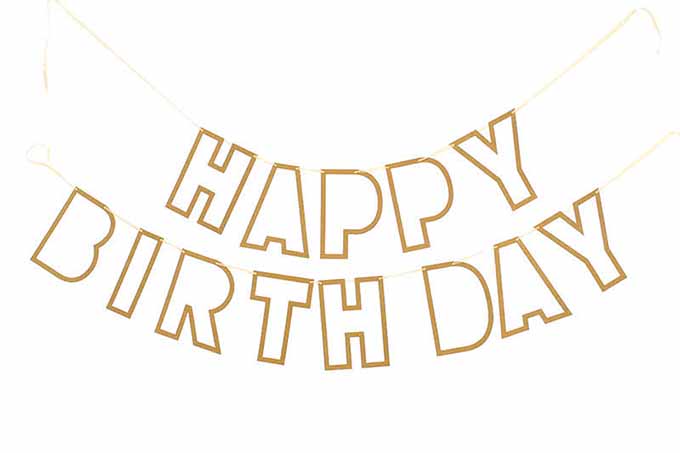 Happy Birthday Guirland