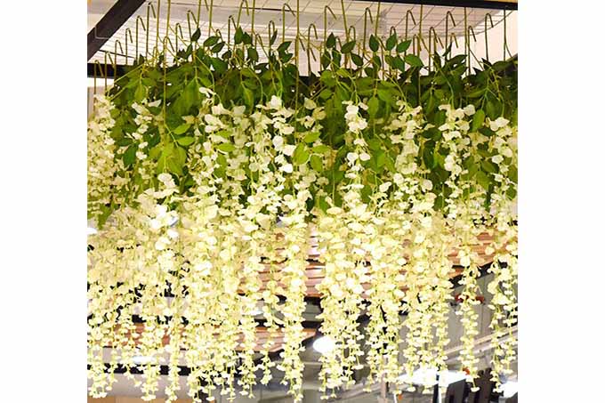 Kunstige Blåregn Wisteria Hvid 4 stk.-Pak