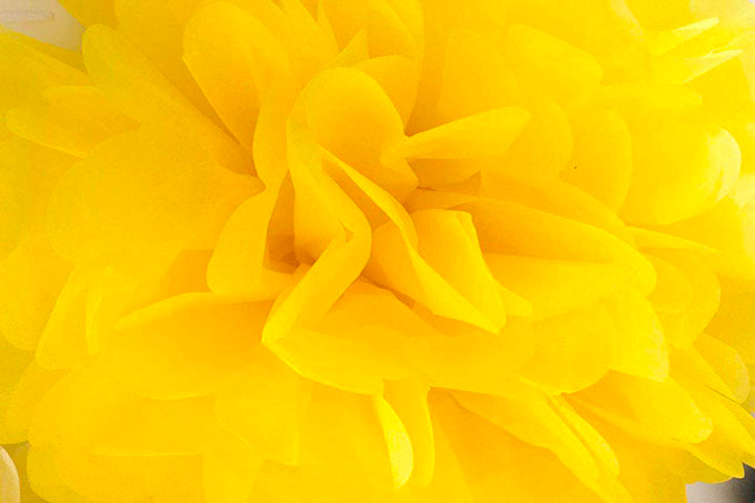 Papir Blomster Dekoration Gul 3stk.-Pak