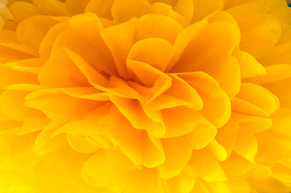 Papir Blomster Dekoration Gul 3stk.-Pak