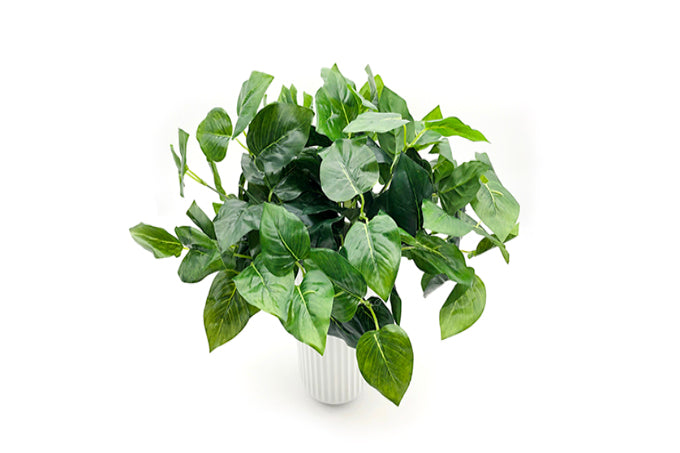 Kunstige Plante Grøn