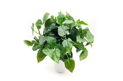 Kunstige Plante Grøn