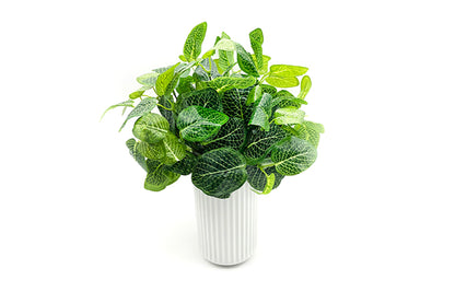 Kunstige Blomster Grøn Plante