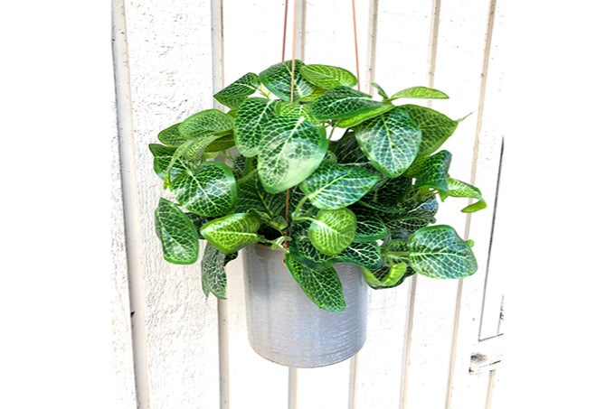 Kunstige Blomster Grøn Plante
