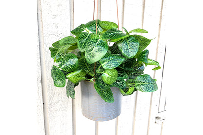 Kunstige Blomster Grøn Plante