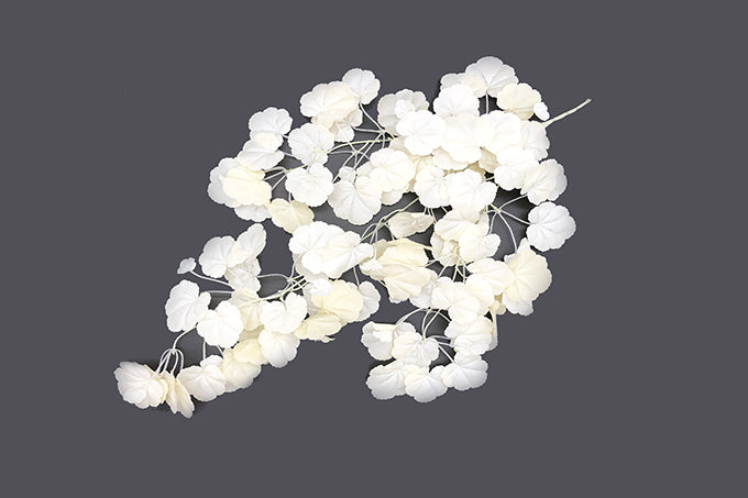 Kunstige Hænge Blade Hydrocotyl Creme Hvid