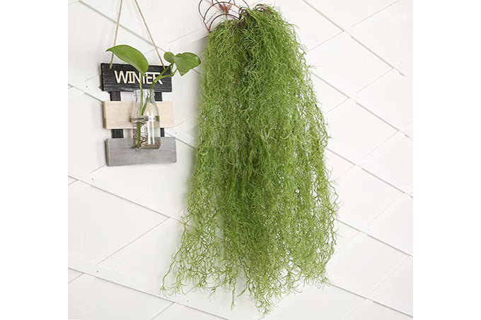 Kunstige Hænge Græs Planter